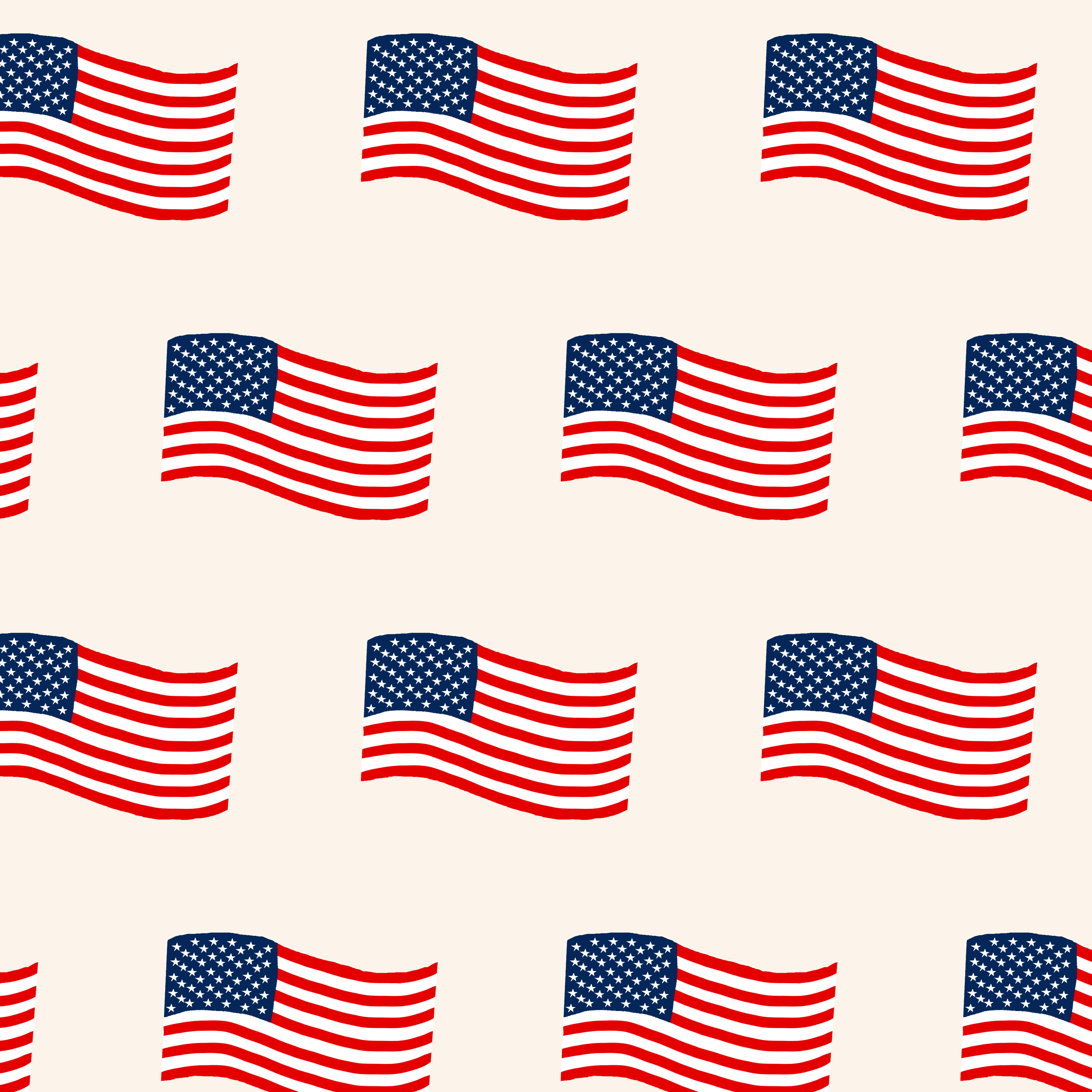 USA Flag