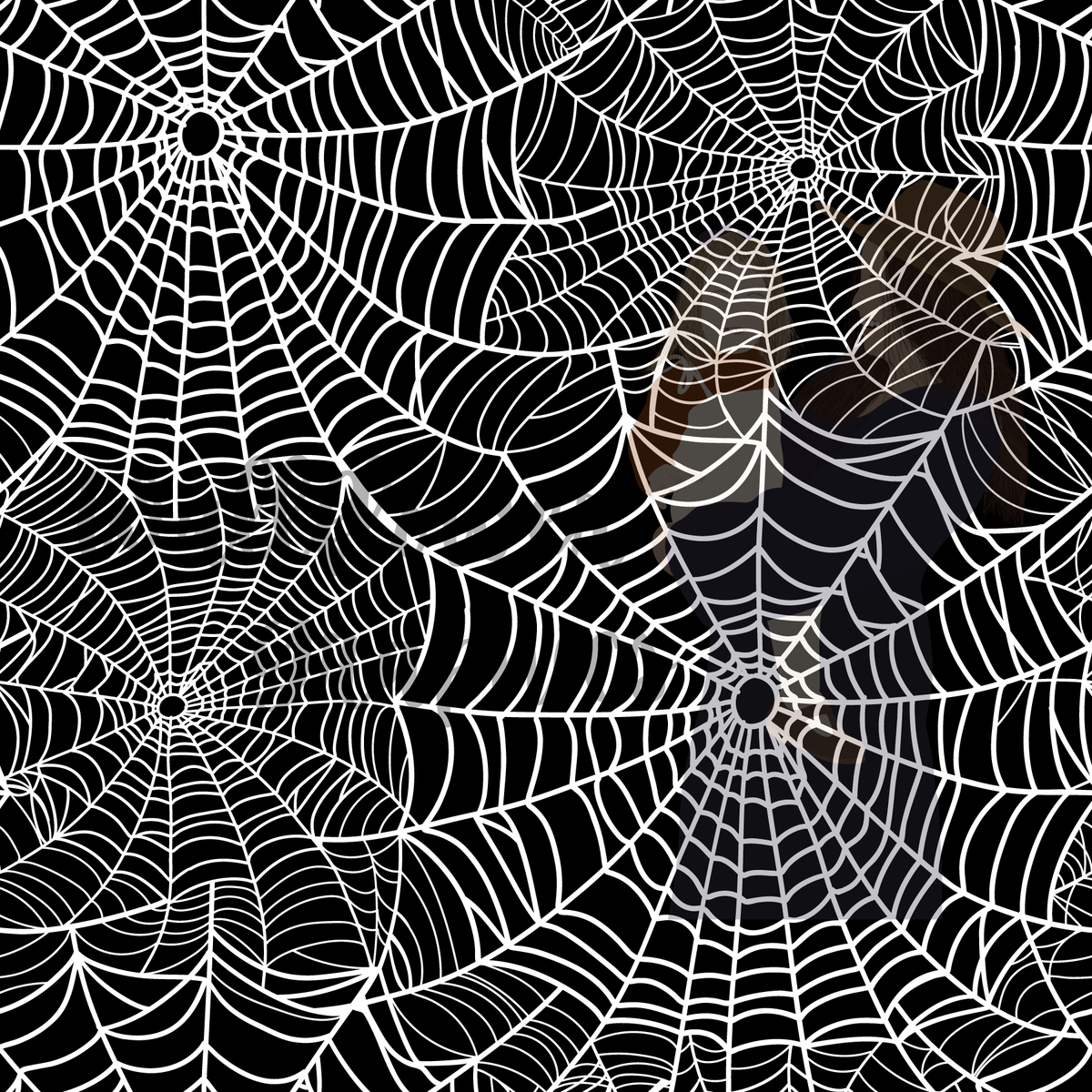 Spiderweb — Little Rays Fabric