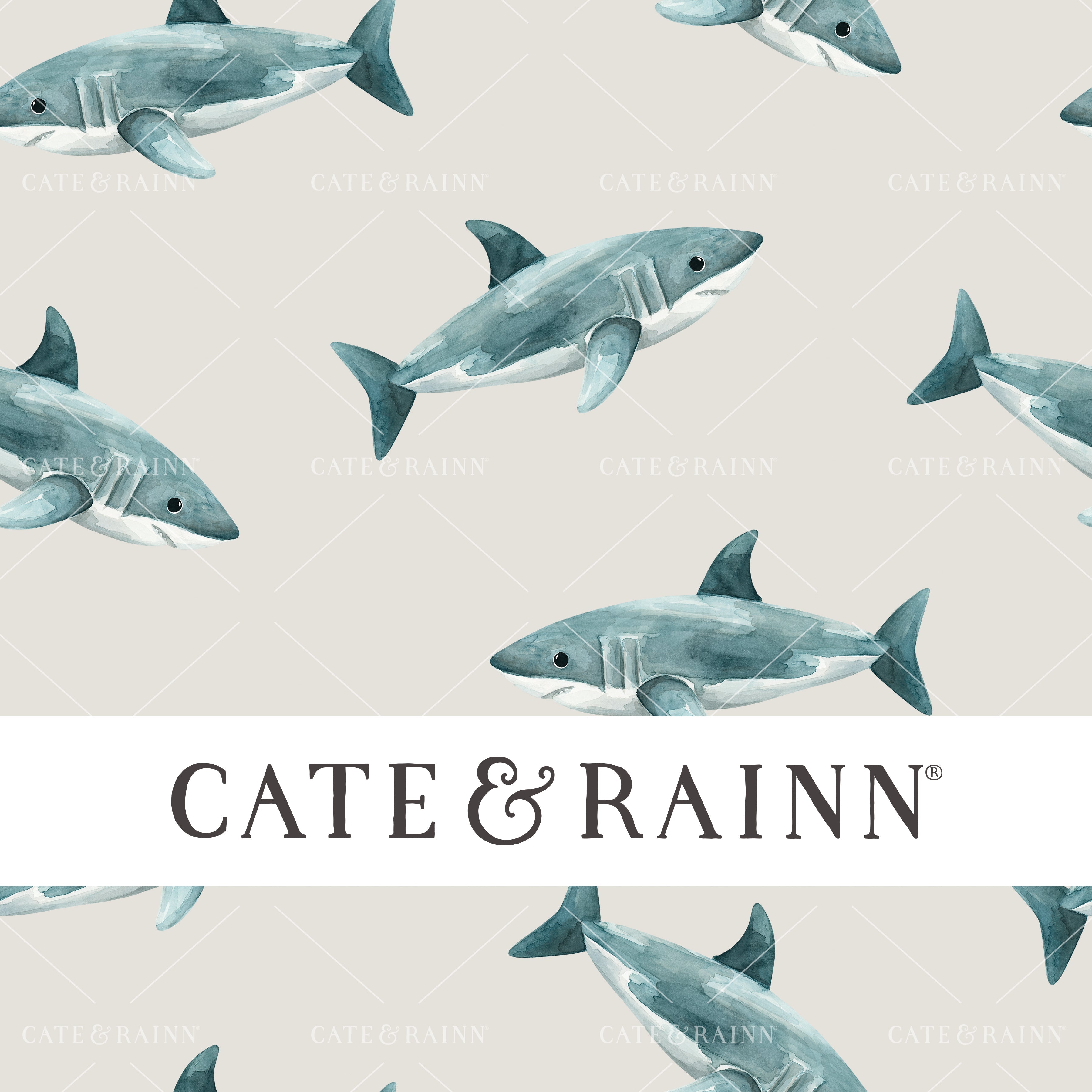 Great White Sharks on Warm Gray Pirates Ahoy