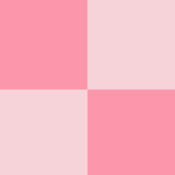 Spring Daisy Pink Check