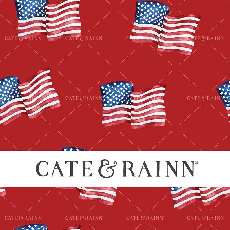 American Flag on Red