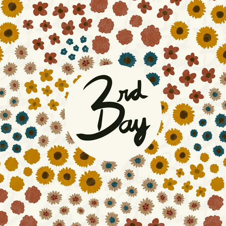 Dainty Autumn Flowers