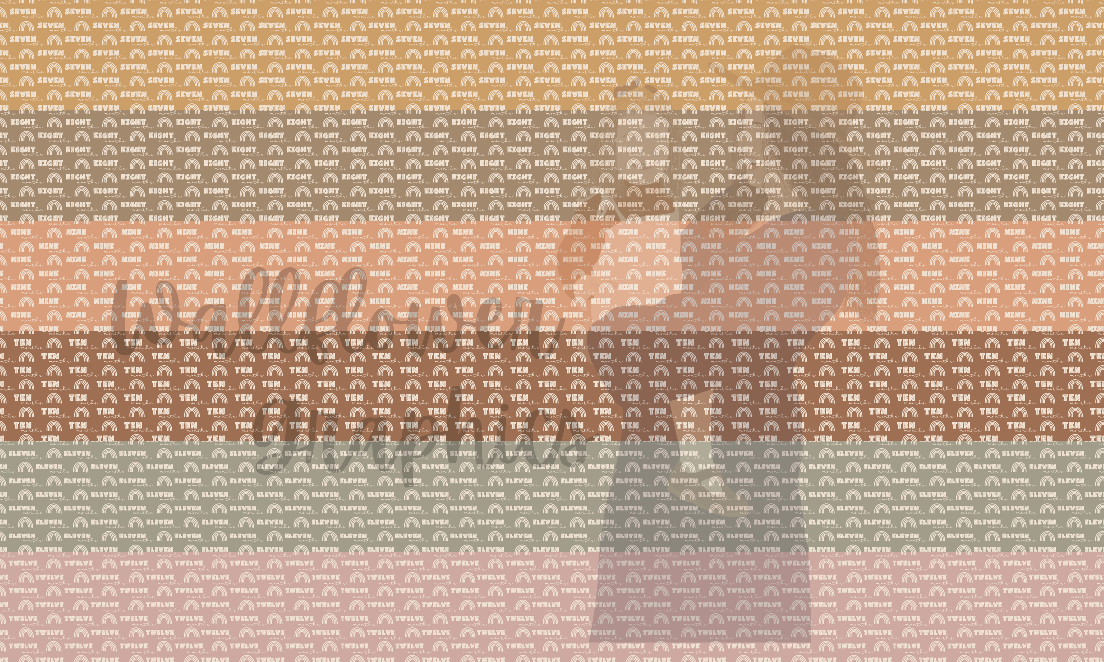 Boho 6 in Strip 7-12