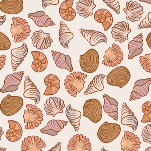 Seashells